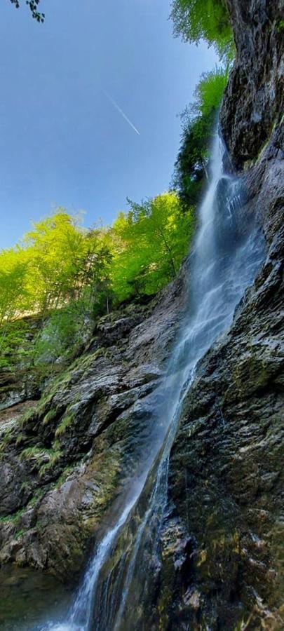 Ferienwohnung Bergspass Gaming Zewnętrze zdjęcie