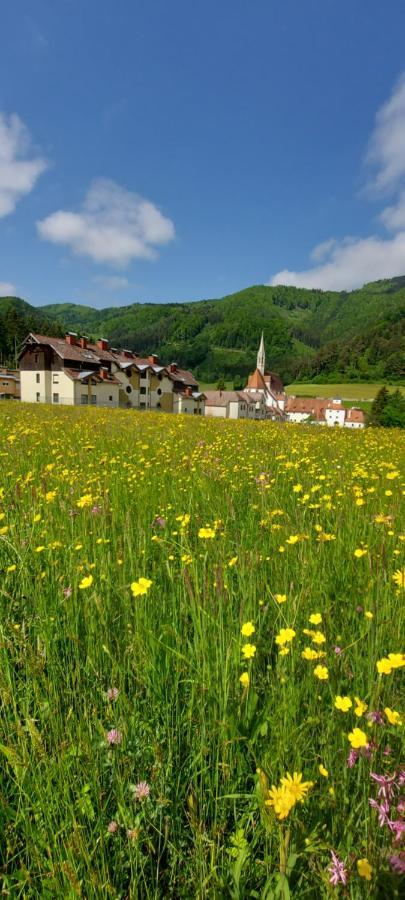 Ferienwohnung Bergspass Gaming Zewnętrze zdjęcie
